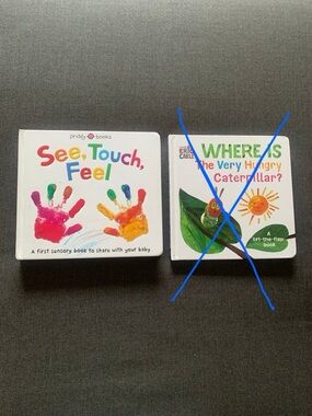 Eric Carle’s Book On See, Touch Feel